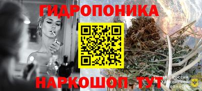 прущие крисы Лесосибирск
