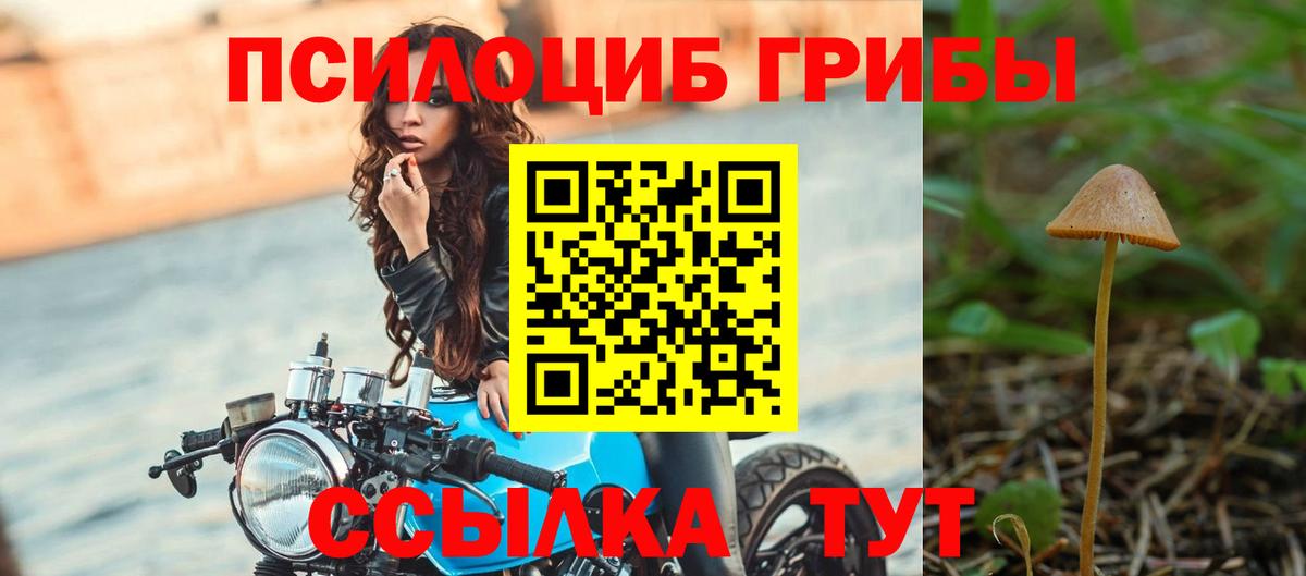 Галлюциногенные грибы Magic Shrooms Дзержинск