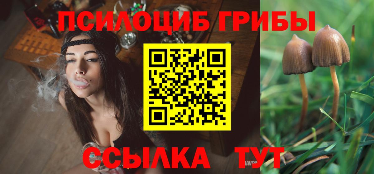 Псилоцибиновые грибы MAGIC MUSHROOMS  Галлюциногенные грибы Cubensis  Дзержинск  Вход с VPN 